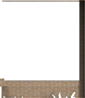 Window Wall2
