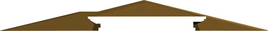 Newroof8