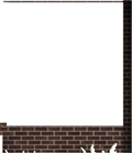 Window Wall13