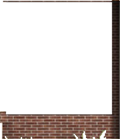 Window Wall16