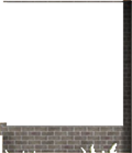 Window Wall17