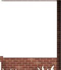 Window Wall19