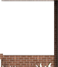 Window Wall20