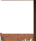 Window Wall27