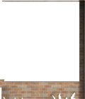 Window Wall28