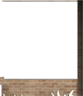 Window Wall31