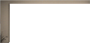 Wall55