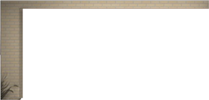 Wall61