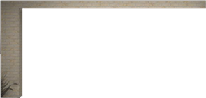 Wall9